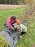 Family planting 