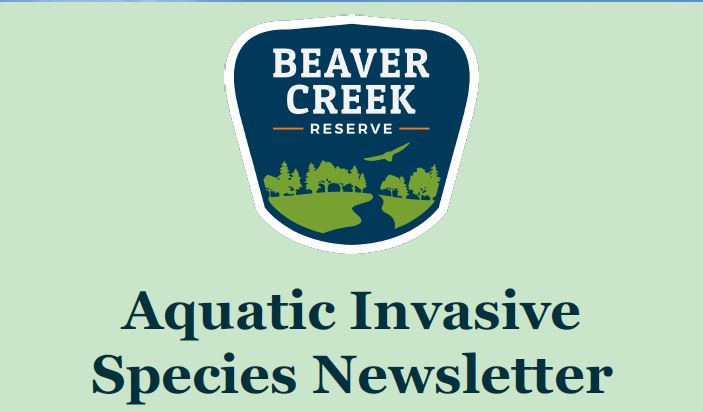 Aquatic Invasive Species Newsletter